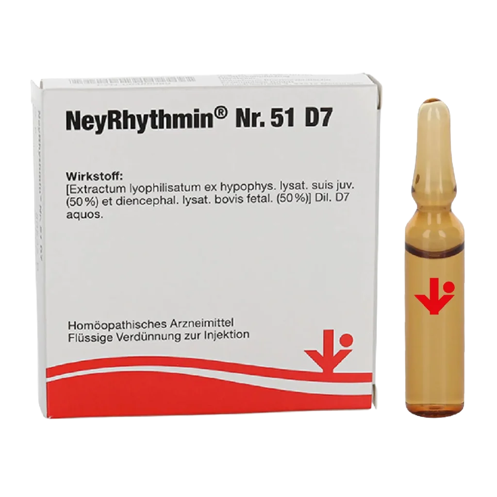 ney-rhythmin-51-d7_vitOrgan