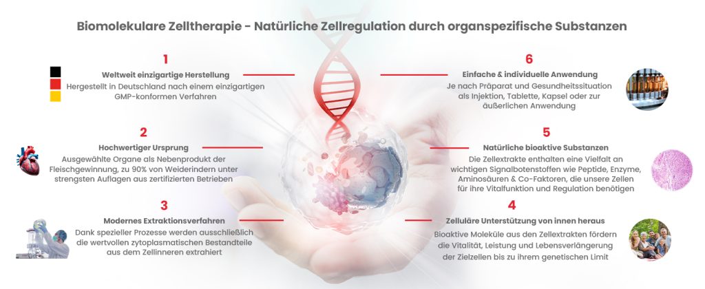 vitOrgan_Prozessgrafik_1464x600px