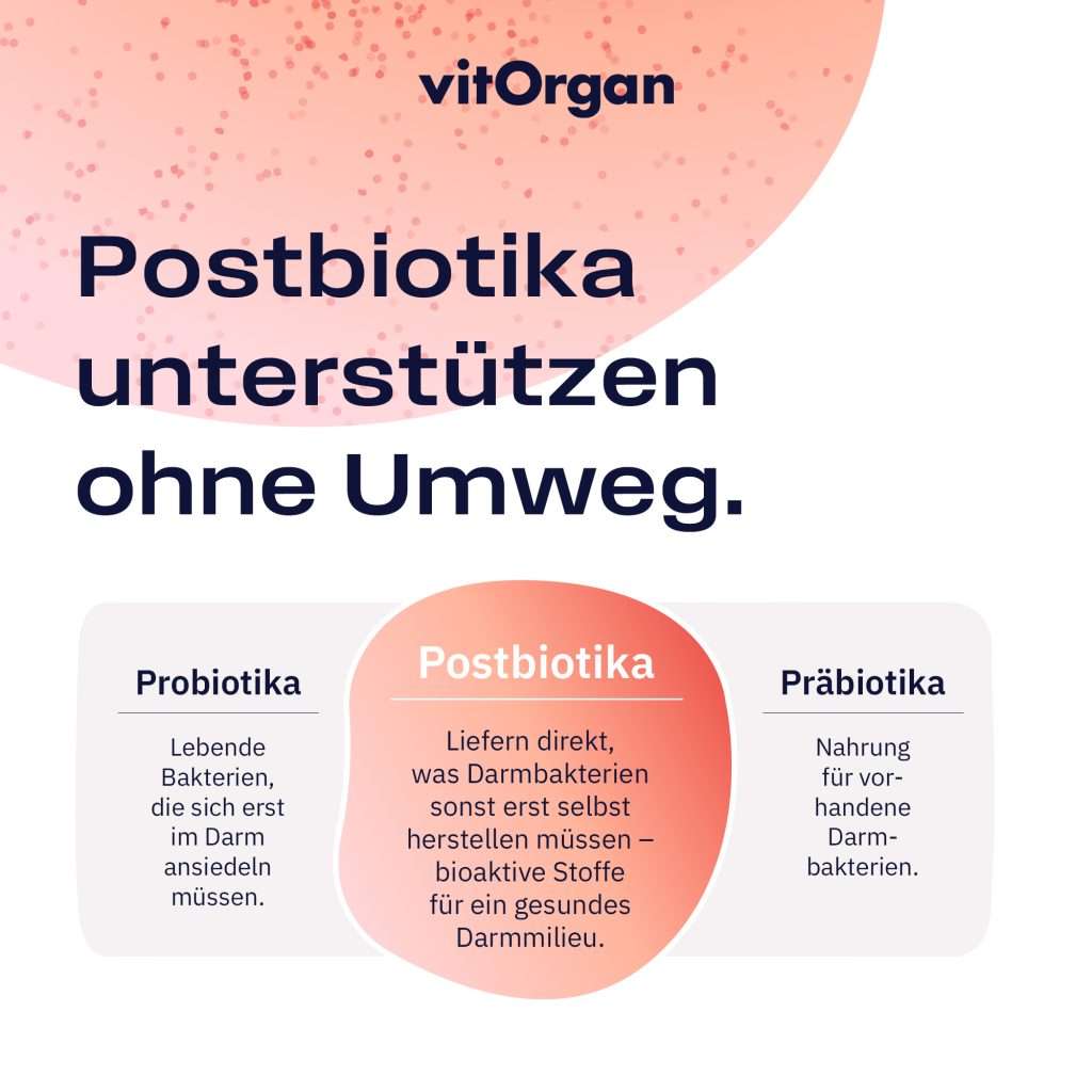 Unterstützen die Darmbarriere
