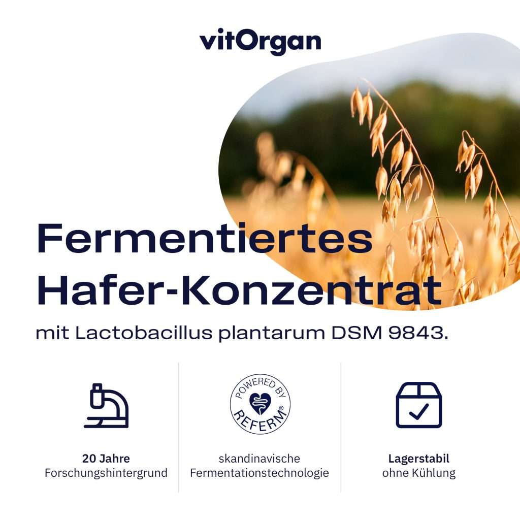 Fermentiertes Haferkonzentrat